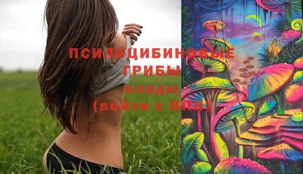 mdma Гусиноозёрск